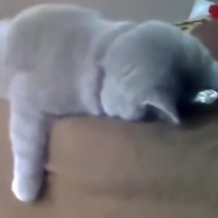 暇つぶし&友達ぼしゅー