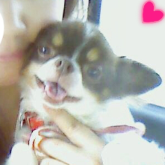 甘酒♥梅干し♥いぬ🐶！  大好きな人の集まり♥