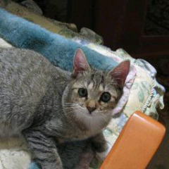 たかあきのトーク