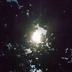 ぴーたんのトーク