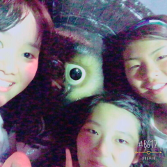 ☆Otoha☆