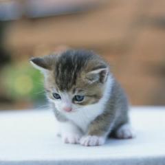 MiMi❤️eyeron☆ssc☆