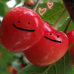 わたしのファン募集中♡♡