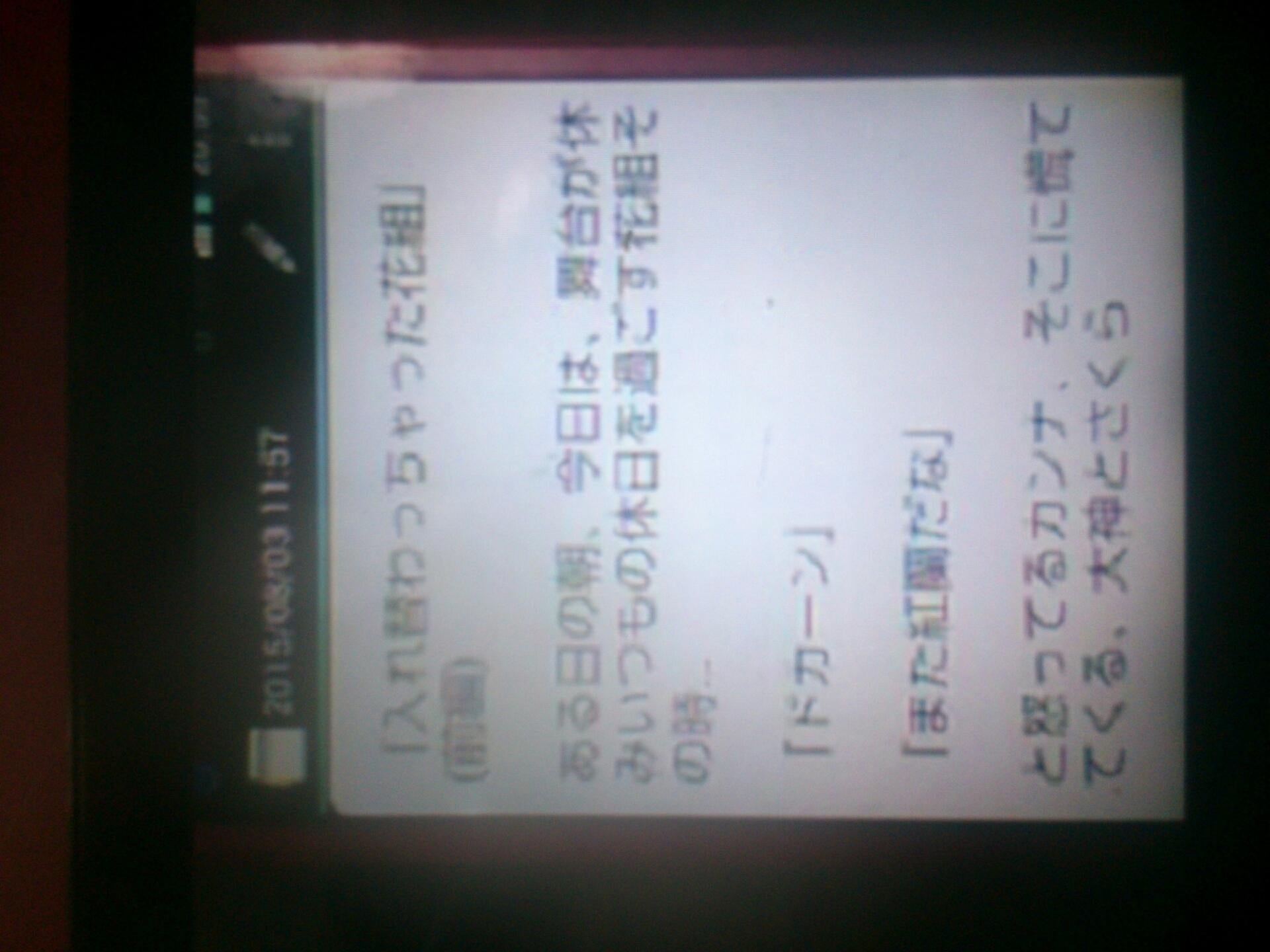 投稿画像