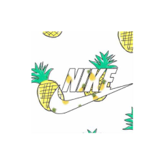 ちゃんれなのトーク