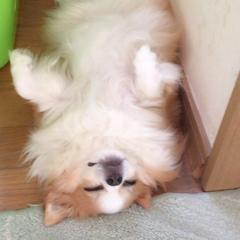 ひな❤️