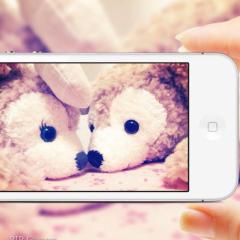 SAKURAPP*