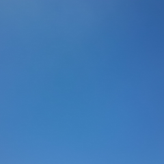 ひまな中学生来て🎵