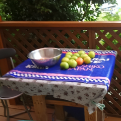 中1限定トーク‼