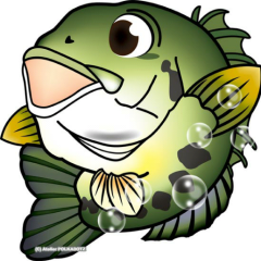 オオクチバス🐟