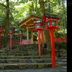 めぐ愛SSC(*´∀｀)❤💙💛