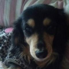 ちょい悪オヤジ