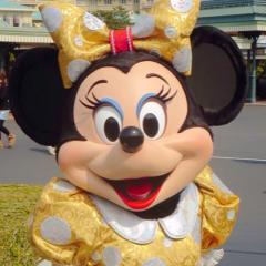 ディズニーグリ、ショー、パレ好き集合(∗•ω•∗)