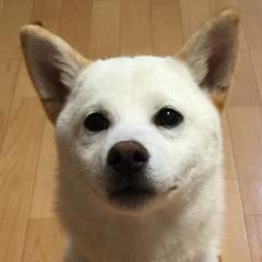 RUNA