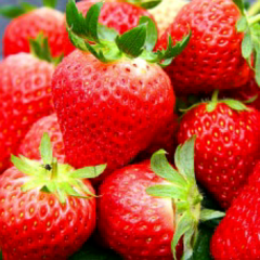 １５СΗаΝ’s　ＲοοΜ