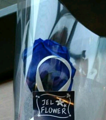 ☆☆☆みゆ☆☆