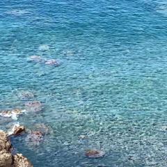 なんやらかんやら載っけていきまっしょい。