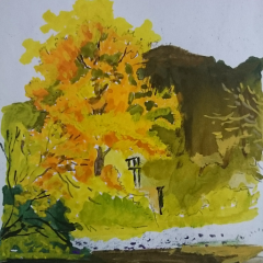 ガッシュで描く風景画。