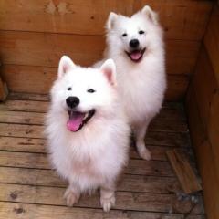 つるけんのトーク