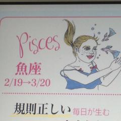 しながわ