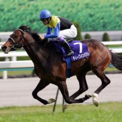 競馬好き集まれ❗️❗️