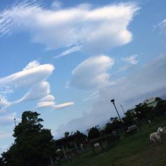 しおおにぎりのトーク