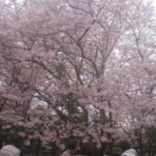 魁人「かいと」