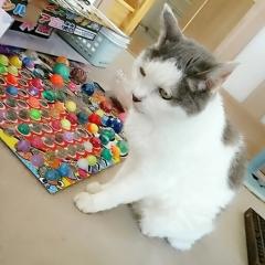 友達になってください。