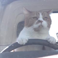 「(｣・ω・)｣ひー！(｣・ω・)｣まー！