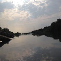 愛知仲間♪( ´▽｀)