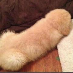 やらしい、セクシー、下ネタジョーク