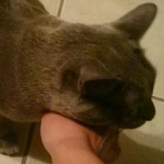 中学生女子からもー L●ＮＥ大歓迎