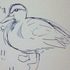 #P(ハッシュタグP)の独り言