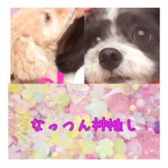 AyuちんN.K