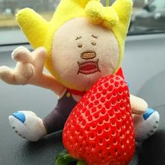 くまちゃんのトーク