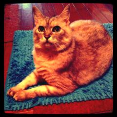 ♡あずさ☆AZ♡