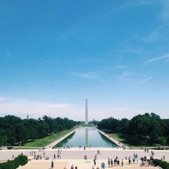 ねれない人かもーん