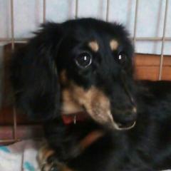 おはよねっとれいたん！の部屋(=´∇｀=)にゃん