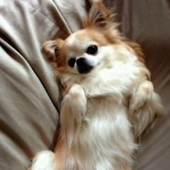 超特急[BULLET TRAIN]