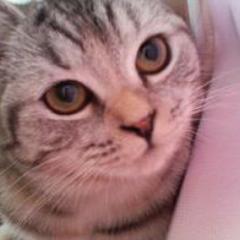 ﾖﾛ(｀・ω・´)ｽｸ！