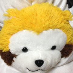 aoキング