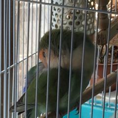 トモヒロのトーク