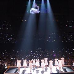 天豹 ← ちびちゃん