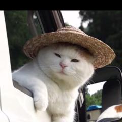 りかこのトーク