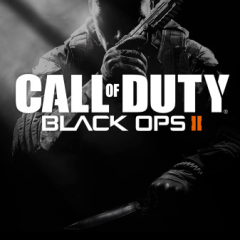 bo2やりたい人ー