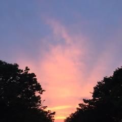 愚痴や相談しませんか？