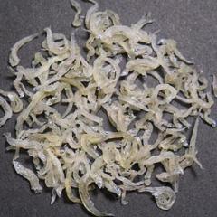 俺の事をブロックした雑魚一覧