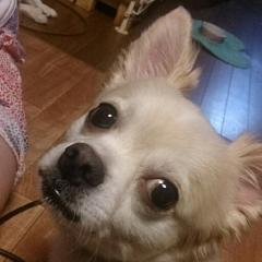 まーくぅん