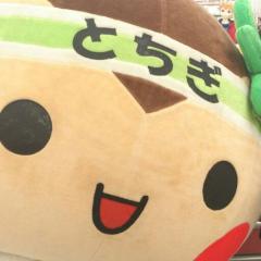 北関東の方おらん！？ 壁｜ω･)ﾁﾗｯ