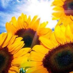 まゆみんのトーク